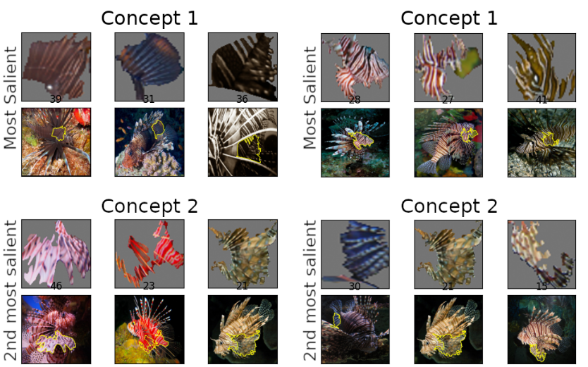 Interpolation end reference image.